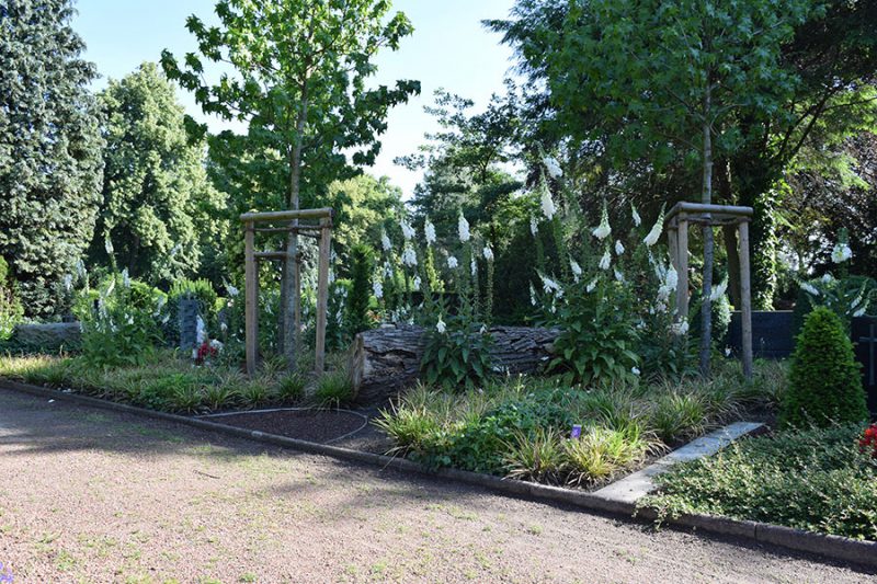 Friedhof Wiedenbrück Baumfeld - naturnahe Bestattung an einem Baum