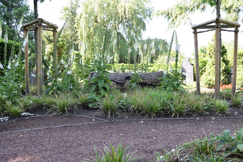 Friedhof Wiedenbrück Baumfeld - naturnahe Bestattung an einem Baum