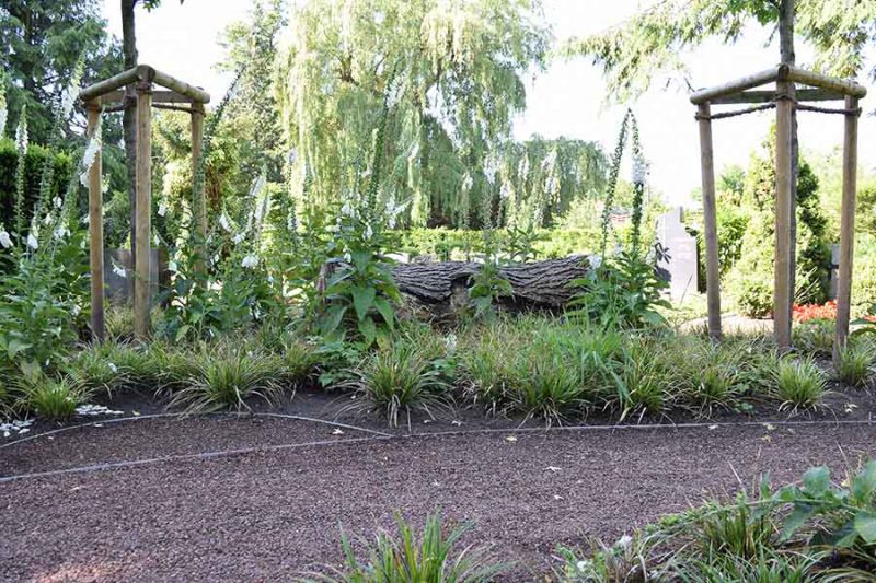 Baumbestattungen Friedhof Wiedenbrück