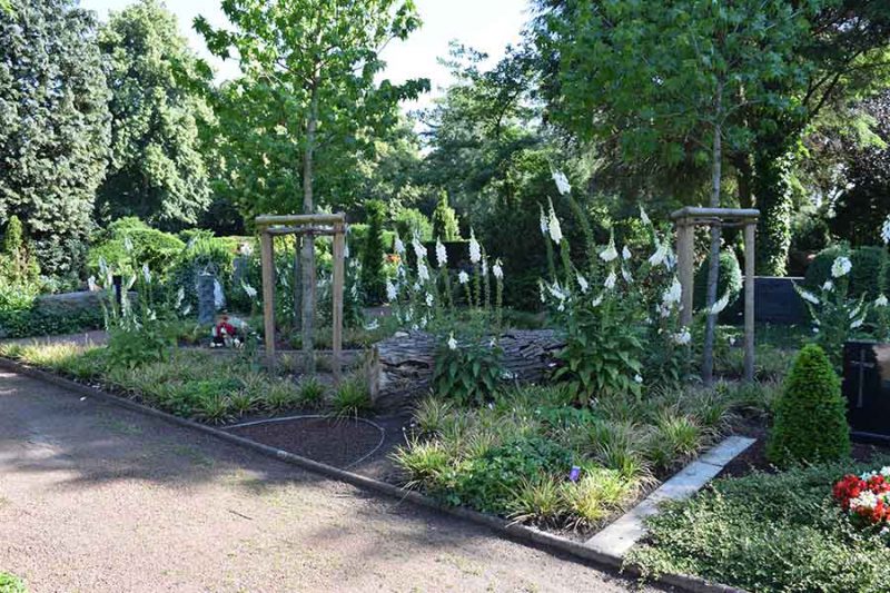 Baumbestattungen Friedhof Wiedenbrück