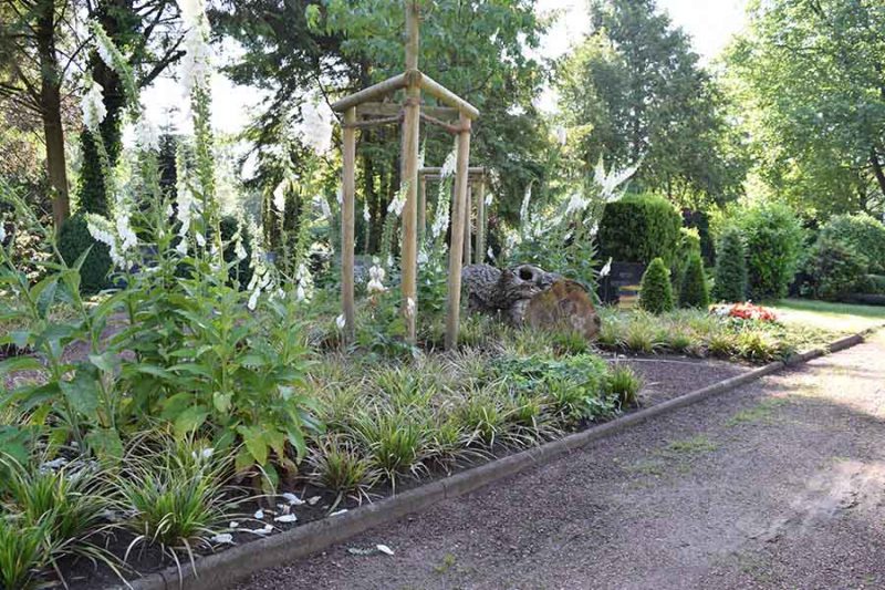 Baumbestattungen Friedhof Wiedenbrück